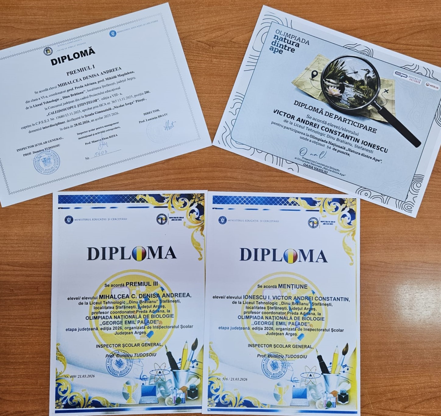 Fotografie reprezentativă pentru [denumirea activității 1]
